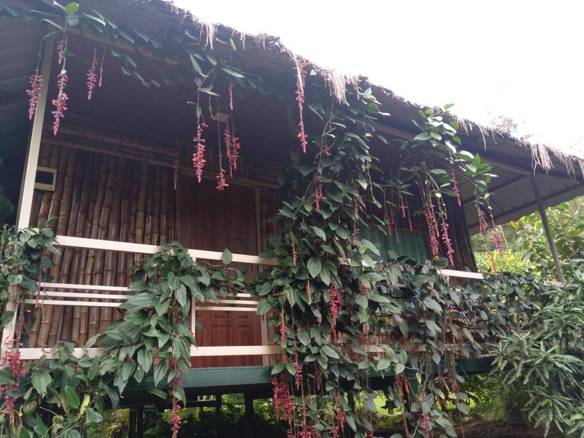 Koomankolly Resort Thirunelly Exterior photo